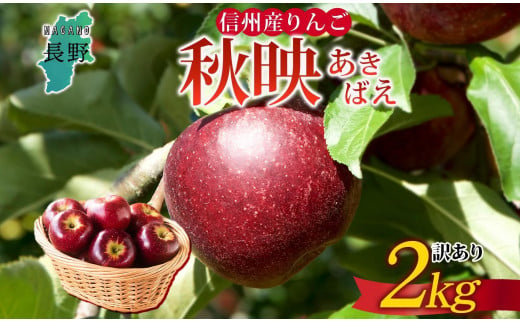 ＜25年発送 先行予約＞長野県産 りんご 秋映 訳あり 約2kg リンゴ 旬 フルーツ 訳アリ 林檎 果物 規格外 自家用 産地直送 農園 産直 お取り寄せ もぎたて 採れたて 送料無料 堀田農園 信州 大町市