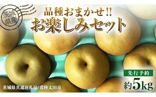 【 先行予約 】茨城県産 梨 品種おまかせお楽しみセット 約5kg 8玉～16玉 ( 茨城県共通返礼品 : 常陸太田市 )【 2025年 9月上旬頃より発送 】 フルーツ 果物 国産 日本産 梨 ナシ なし 和梨 期間限定 数量限定