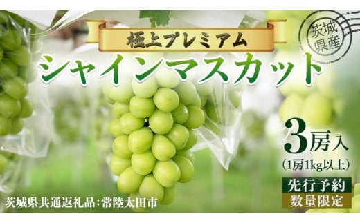 【 先行予約 】茨城県産 極上プレミアム シャインマスカット 1房1kg以上 数量限定 3房入り ( 茨城県共通返礼品 : 常陸太田市 )【 2025年 9月中旬頃より発送 】シャインマスカット フルーツ ぶどう 葡萄 ブドウ マスカット 果物  期間限定 数量限定