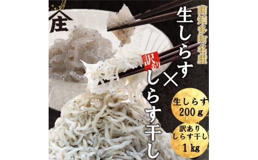 生しらす 200g 訳ありしらす干し 1kg セット 冷凍 刺身 真空パック しらす干し 炒飯 パスタ ごはん 丼 サラダ 魚 料理 愛知県 南知多町 師崎 シラス しらす 小魚 魚貝 魚貝類 しらす シラス 海鮮 しらす丼 シラス丼 ふるさと納税しらすしらす おすすめ 大人気 南知多産しらす愛知県産しらす 