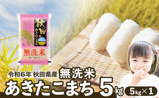 [令和6年産]秋田県産あきたこまち(無洗米)5kg(5kg×1袋) 55P9219