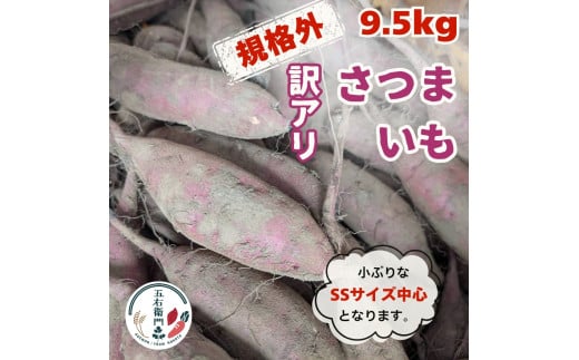 五右衛門の 訳ありサツマイモ 9.5kg  規格外 （サイズ 品種 大きさ 全て混載）さつまいも 土付き 低温熟成 鉾田 茨城 わけあり ワケアリ 