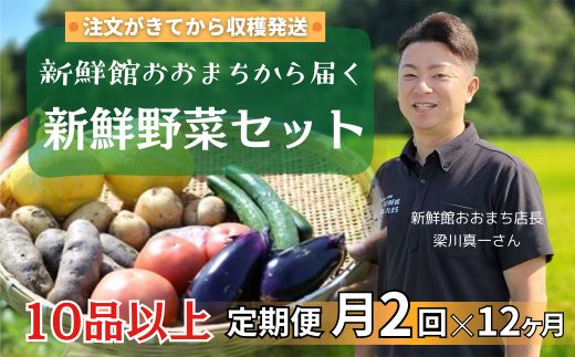 【定期便24回】月2回×12ヵ月 <2025年4月から発送> 注文が来てから収穫発送！収穫したばかりの新鮮野菜セット 《10品以上保証》 季節のお野菜 おまかせ お楽しみ 獲れたて産地直送 旬 鍋 冬野菜 ベジタブル ヘルシー 健康 詰め合わせ 一関市