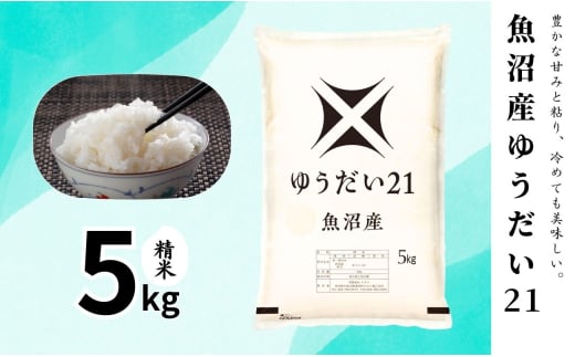 【令和6年産】魚沼産ゆうだい21(精米)5kg 米 お米 精米 ゆうだい 中魚沼 新潟県 十日町市 1915458 - 新潟県十日町市