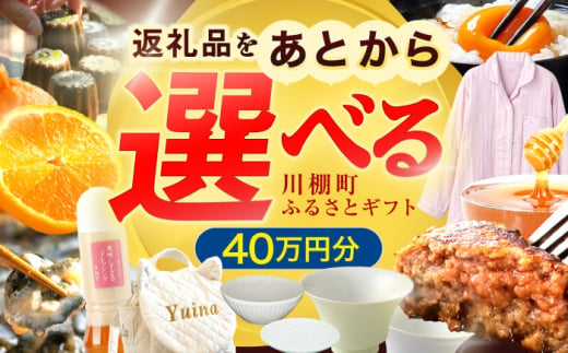 [あとから選べる]川棚町ふるさとギフト 40万円分 長崎県 川棚町 