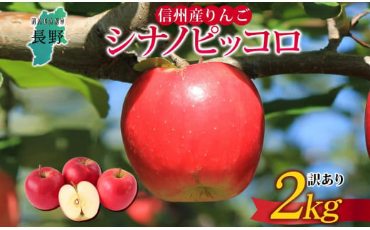 ＜25年発送 先行予約＞長野県産 りんご シナノピッコロ 訳あり 約2kg リンゴ 旬 フルーツ 訳アリ 林檎 果物 規格外 自家用 産地直送 農園 産直 お取り寄せ もぎたて 採れたて 送料無料 堀田農園 信州 大町市