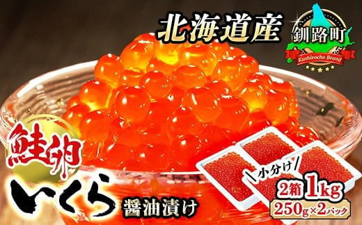 いくら醤油漬け 1kg(250g ×2パック ×2箱) [発送時期が選べる] 国産 いくら いくら醤油漬 イクラ ikura 天然 鮭 サーモン 鮭卵 鮭いくら 冷凍 配送 選べる 指定 配送月指定 配送月が選べる 笹谷商店 直営 釧之助本店 北海道 釧路町 釧路超 特産品