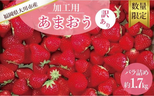 ★先行予約★訳あり加工用あまおういちご バラ詰め福岡県産 たっぷり約1.7kg【2025年5月以降順次発送】