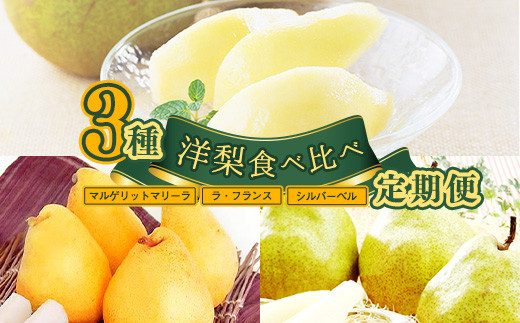 《先行予約》 3回定期便 令和7年産 「洋梨食べ比べ 3種（追熟ラ・フランス マルゲリット・マリーラ シルバーベル）」 2025年産　036-B-MM080