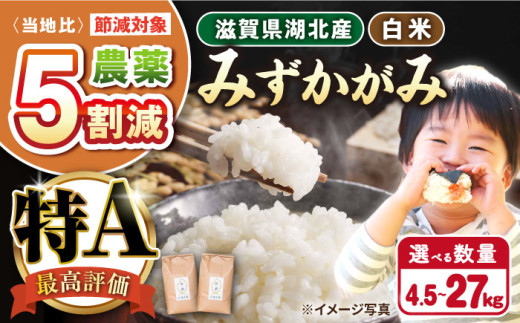 [選べる容量][令和6年産] 滋賀県湖北産 湖北のみずかがみ 4.5・9.0・18・27kg (白米) 滋賀県長浜市/株式会社エース物産[AQAK018] 米 お米 ご飯 ごはん ゴハン