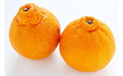 不知火 3L〜L 約5kg みかん ミカン 蜜柑 果物 くだもの フルーツ 柑橘 [2026年3月発送予定](819)