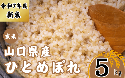 【先行予約／令和7年度新米】 ひとめぼれ 5Kg ［玄米］［山口県宇部産］ 【令和7年度 新米 ひとめぼれ 5Kg 玄米 山口県産 宇部産 地元米 農家直送 宇部市産 美味しい お米 寒暖差 霜降山麓 綺麗な水 高品質米 新鮮米 収穫直後 国産米 ご飯 炊き立て 美味しさ長持ち】