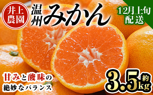 ＜先行予約受付中！12月上旬より順次発送予定＞数量限定 大分県宇佐市産 温州みかん(約3.5kg)みかん ミカン 蜜柑 柑橘 フルーツ 果物 くだもの 果実 国産【103670400】【井上農園】 1459775 - 大分県宇佐市