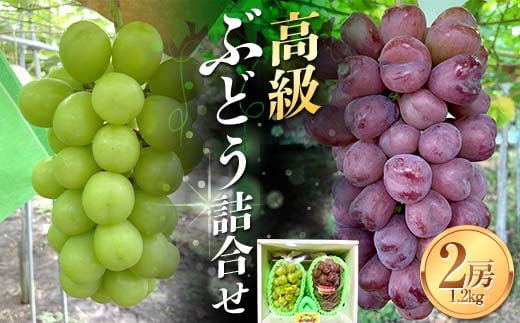 《2025年先行予約》贈答用 山形県 高畠町産 高級ぶどう 2種2房（シャインマスカット・マイハート）詰合せ 約1.2kg(2房) 2025年10月上旬から順次発送 ぶどう ブドウ 葡萄 マスカット 大粒 種なし 高級 くだもの 果物 フルーツ 秋果実 贈答 贈り物 ギフト 産地直送 農家直送 F21B-381 1941249 - 山形県高畠町