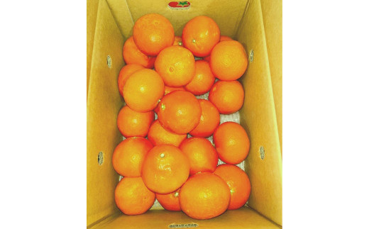 愛果 (愛媛果試28号)4L〜L 約5kg みかん ミカン 蜜柑 温州 果物 くだもの フルーツ 柑橘 [2025年12月発送予定](818)