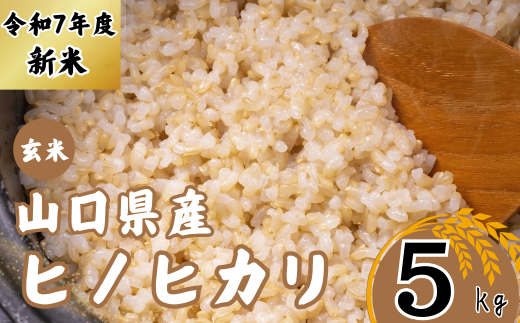 【先行予約／令和7年度新米】 ヒノヒカリ 5Kg ［玄米］［山口県宇部産］ 【令和7年度 新米 ヒノヒカリ 5Kg 玄米 山口県産 宇部産 地元米 農家直送 宇部市産 美味しい お米 寒暖差 霜降山麓 綺麗な水 高品質米 新鮮米 収穫直後 国産米 ご飯 炊き立て 美味しさ長持ち】