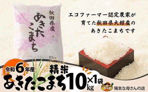 R6年産「あきたこまち精米10kg」(10kg×1袋) 95P9001 231873 - 秋田県大館市