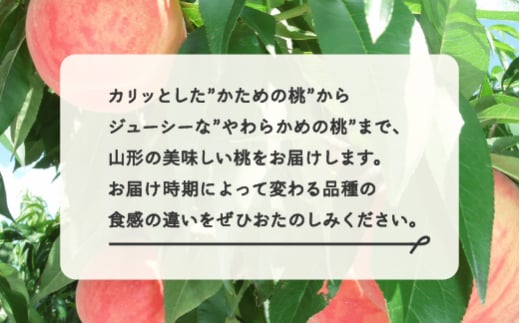 山形県山辺町のふるさと納税 もも 桃 品種おまかせ 白桃 ご家庭用 約5kg(10~25個程度)  2025年産 山形県産 ※沖縄・離島への配送不可 tf-moywm5