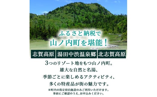 長野県山ノ内町のふるさと納税 山ノ内町内宿泊補助券（6枚）1年間有効 30,000円分 旅行 宿泊券 ホテル 旅館 チケット 宿泊 補助券 志賀高原 湯田中渋温泉郷 北志賀高原 地獄谷野猿公苑  温泉 ギフト 自然 観光 長野県 信州 冬 スキー