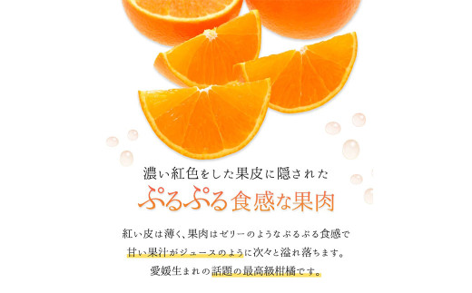 紅まどんな 4L～L 約3kg（817）