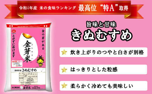 BG無洗米・金芽米きぬむすめ 5kg×6ヵ月 定期便【毎月】計量カップ付き【新米 令和6年産 毎月 6ヶ月 時短 健康】 -  島根県安来市｜ふるさとチョイス - ふるさと納税サイト