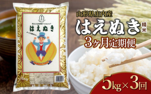 【令和6年産】【3ヶ月定期便】はえぬき 精米 5kg×3回 計15kg 山形県 庄内産　米食味鑑定士お薦め 