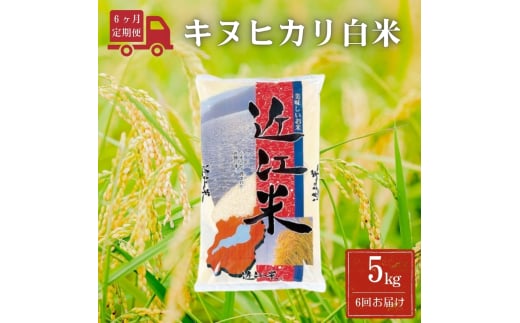 令和6年産 キヌヒカリ白米【定期便】5kg/月×6回（月1回配送）