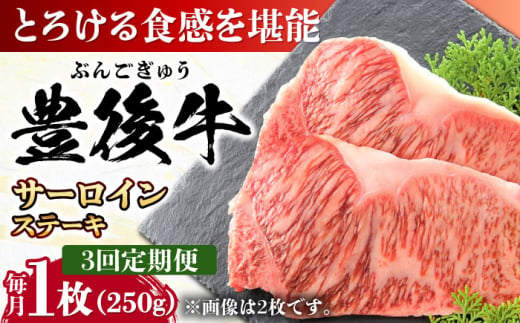 【全3回定期便】おおいた豊後牛 サーロインステーキ 250g (250g×1枚) 日田市 / 株式会社MEAT PLUS　肉 牛肉 和牛 [AREI053] 1921232 - 大分県日田市