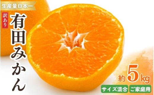 紀州有田みかん 訳あり 約5kg キズ ご家庭用 サイズ混合　※2025年11月下旬～2026年1月中旬頃より順次発送予定　※北海道・沖縄・離島配送不可【sml130A】 1361981 - 和歌山県太地町