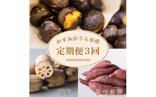 ＜発送月固定定期便＞茨城県 特産品3種全3回【4062740】