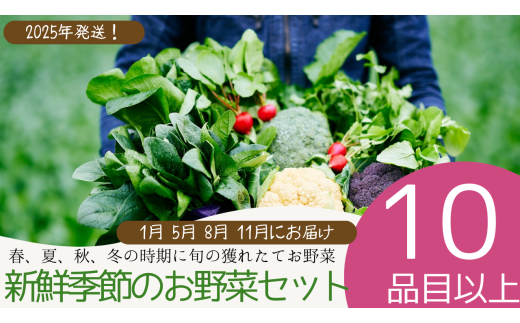 040-002 【2025年１月以降順次発送】新鮮季節のお野菜セット年4回（江戸川極み野菜）