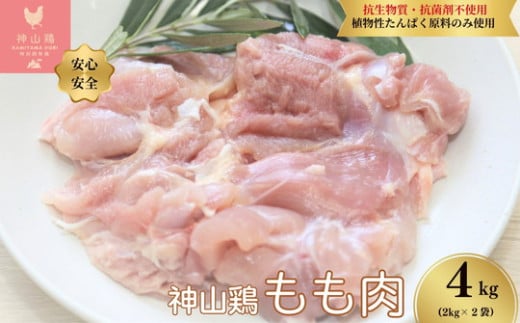 032-001　特別飼育鶏「神山鶏」もも肉4kg (2kg×2袋）｜抗生物質・抗菌剤不使用、植物性たんぱく原料のみ使用 ※離島への配送不可 1920118 - 徳島県石井町