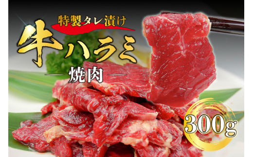 特製タレ漬け牛ハラミ焼肉 300g【牛肉 お肉 ハラミ タレ 味付き 冷凍 おつまみ 焼肉】