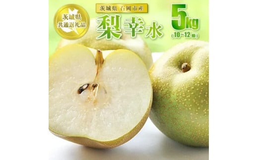 【先行予約】幸水 5kg 10～12個【茨城県共通返礼品 石岡市】※2025年8月～8月下旬頃に順次発送予定 1922136 - 茨城県守谷市