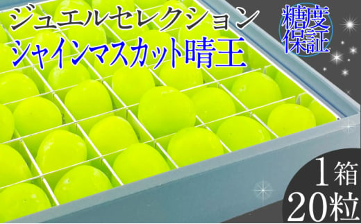 2025年 先行予約受付中 シャインマスカット晴王 ジュエルセレクション 1箱20粒 岡山県産 種無し 皮ごと食べる みずみずしい 甘い フレッシュ 瀬戸内 晴れの国 おかやま 果物大国 ハレノフルーツ