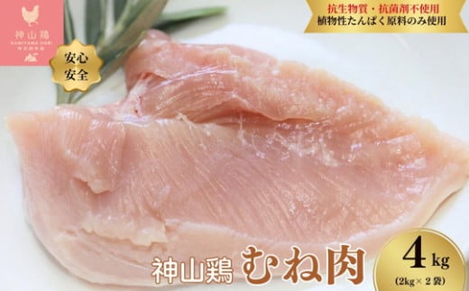 026-002　特別飼育鶏「神山鶏」ムネ肉4kg(2kg×2袋) ｜ 抗生物質・抗菌剤不使用、植物性たんぱく原料のみ使用) ※離島への配送不可