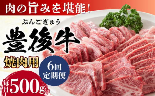 【全6回定期便】おおいた豊後牛 焼肉用 500g 日田市 / 株式会社MEAT PLUS　牛 うし 黒毛和牛 和牛 豊後牛 [AREI099] 1921278 - 大分県日田市