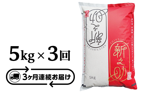 48-S53【3ヶ月連続お届け】新潟県長岡産「新之助」5kg 225490 - 新潟県長岡市