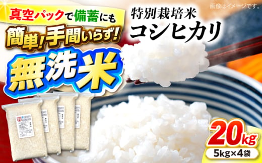 特別栽培米コシヒカリ 真空パック白米（無洗米）20kg（5kg×4袋） お米 こしひかり ご飯 コシヒカリ おこめ 三次市/小川モータース [APCH007] 1922167 - 広島県三次市