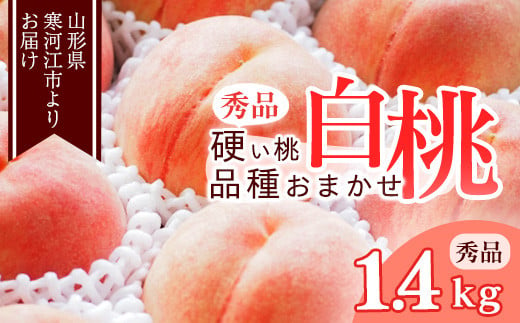 《先行予約》山形の硬い桃 秀品 1.4kg（4 - 6玉） 品種おまかせ 秀品 山形県産  【8月中旬頃～9月下旬頃発送予定】 010-B-MM070 1317495 - 山形県寒河江市