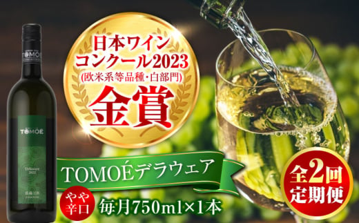 【全2回定期便】TOMOEデラウェア 白ワイン やや辛口 750ml 1本 白 ワイン 受賞 ギフト 醸造 おすすめ 三次市 / 広島三次ワイナリー [APAZ049] 1922080 - 広島県三次市