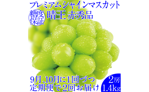 2025年予約受付中 プレミアム シャインマスカット 晴王 2回 定期便2房約1.4kg 人気 岡山県産 赤秀品 種無し 皮ごと食べる みずみずしい おかやま 果物大国 ハレノフルーツ
