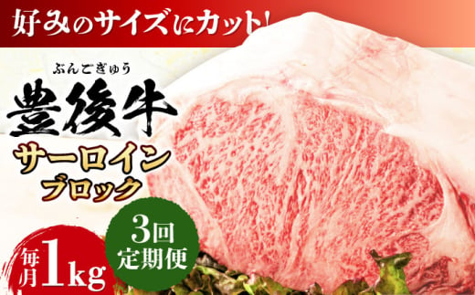 【全3回定期便】【厳選部位】おおいた豊後牛 サーロイン ブロック 1kg 日田市 / 株式会社MEAT PLUS　牛 うし 黒毛和牛 和牛 豊後牛 [AREI104] 1921283 - 大分県日田市