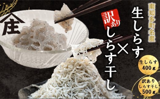 生しらす 400g 訳ありしらす干し 500g セット 冷凍 刺身 真空パック しらす干し 炒飯 パスタ ごはん 丼 サラダ 魚 料理 愛知県 南知多町 師崎 シラス しらす 小魚 魚貝 魚貝類 しらす シラス 海鮮 しらす丼 シラス丼 ふるさと納税しらすしらす おすすめ 大人気 南知多産しらす愛知県産しらす  1918149 - 愛知県南知多町