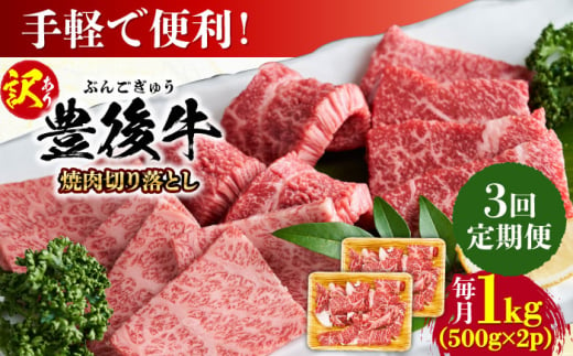 【全3回定期便】【訳あり】おおいた豊後牛 焼肉 切り落とし 1kg(500g×2P) 日田市 / 株式会社MEAT PLUS　牛 うし 黒毛和牛 和牛 豊後牛 [AREI134] 1921313 - 大分県日田市