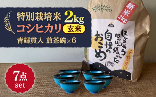 【令和6年産新米】 玄米 コシヒカリ 特別栽培米 （2kg）+ 【美濃焼】 青輝貫入 煎茶碗 （6個） 【山松加藤松治郎商店】 [TEU064] 1921548 - 岐阜県多治見市