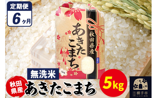 《定期便6ヶ月》あきたこまち 5kg×1袋【無洗米】令和7年産 秋田県産 こまちライン 1920206 - 秋田県横手市