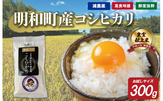 お試しサイズ 三重県産 山本農産のお米(コシヒカリ) 300g 1922151 - 三重県明和町