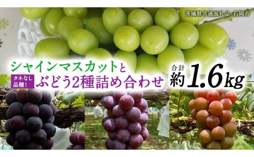 石田ぶどう園」のふるさと納税 お礼の品一覧【ふるさとチョイス】