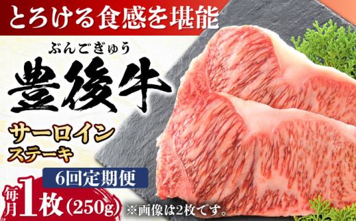 【全6回定期便】おおいた豊後牛 サーロインステーキ 250g (250g×1枚) 日田市 / 株式会社MEAT PLUS　肉 牛肉 和牛 [AREI054] 1921233 - 大分県日田市